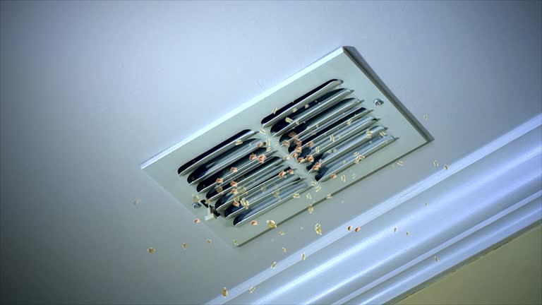 Best Affordable HVAC Duct Cleaning  in Wilsonville, AL