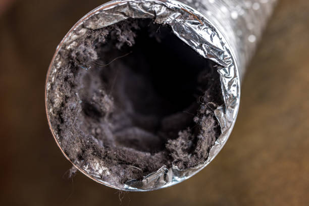 Best Air Duct Cleaning Near Me  in Wilsonville, AL