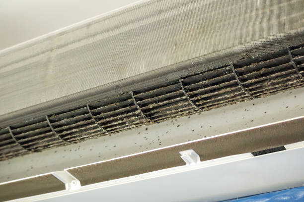 Best Emergency Air Duct Cleaning  in Wilsonville, AL