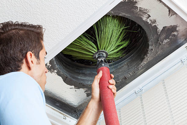 Best Air Vent Cleaning Services  in Wilsonville, AL